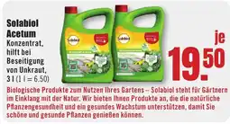 B1 Discount Baumarkt Solabiol Acetum Konzentrat Angebot