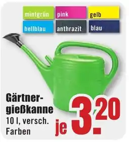 B1 Discount Baumarkt Gärtner-gießkanne Angebot