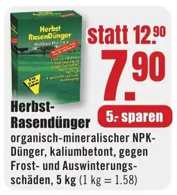 B1 Discount Baumarkt Herbst-Rasendünger Angebot
