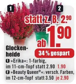 B1 Discount Baumarkt Glockenheide Angebot