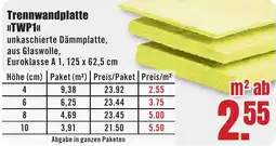 B1 Discount Baumarkt Trennwandplatte »TWP1« Angebot