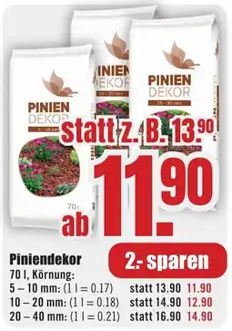 B1 Discount Baumarkt Pinien Dekor Angebot