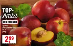 EDEKA Foodservice Nektarinen Angebot