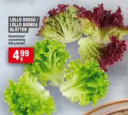 EDEKA Foodservice Lollo rosso / lollo bionda blätter Angebot