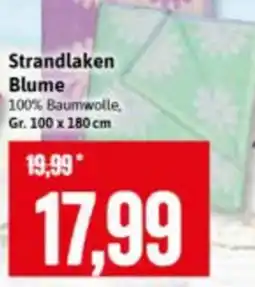 Stolz Strandlaken Blume Angebot