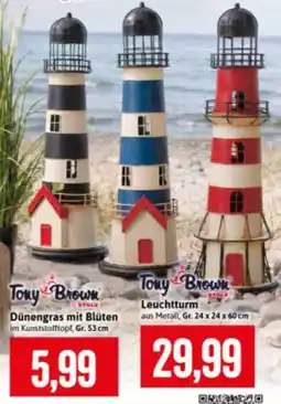 Stolz Tony Brown Leuchtturm Angebot