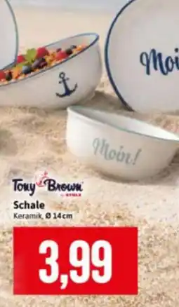 Stolz Tony Brown Schale Angebot