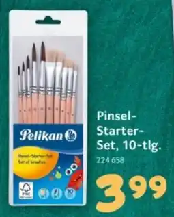 Selgros Pelikan Pinsel-Starter-Set Angebot