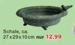 Jawoll Schale Angebot