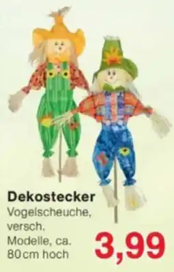 Jawoll Dekostecker Vogelscheuche Angebot