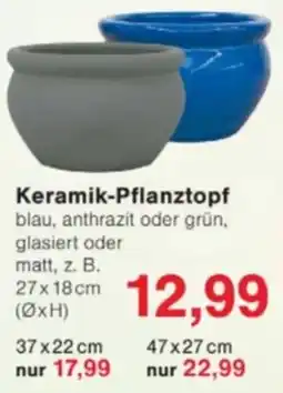 Jawoll Keramik-Pflanztopf Angebot