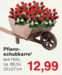 Jawoll Pflanzschubkarre aus Holz Angebot