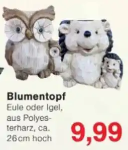 Jawoll Blumentopf Eule oder Igel Angebot