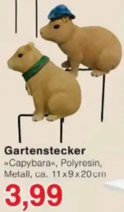 Jawoll Gartenstecker »Capybara« Angebot