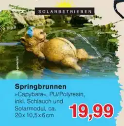 Jawoll Springbrunnen »Capybara« Angebot