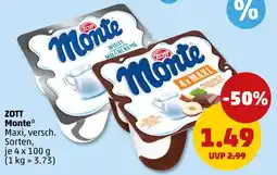 PENNY ZOTT Monte Angebot