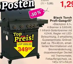 Wiglo Wunderland Black Torch Profi-Gasgrill Angebot