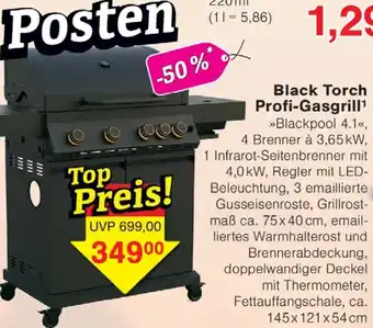 Wiglo Wunderland Black Torch Profi-Gasgrill Angebot