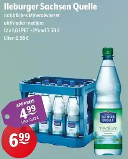 Getränke Hoffmann Ileburger Sachsen Quelle Angebot