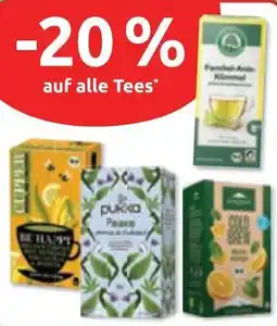 Budni alle Tees Angebot