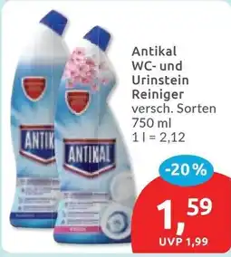 Budni Antikal WC- und Urinstein Reiniger Angebot