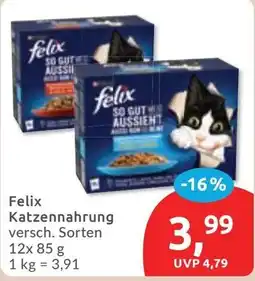 Budni Felix Katzenfutter Angebot