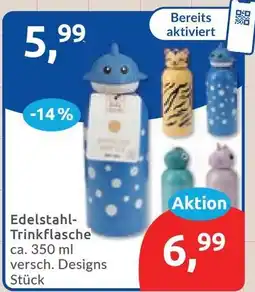 Budni Edelstahl-Trinkflasche Angebot