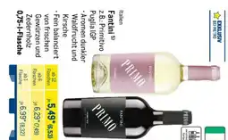 METRO Fantini Angebot
