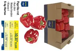 METRO METRO Chef Paprika rot Angebot