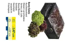 METRO Bunte Salate Angebot