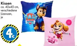 TEDi Kissen Angebot
