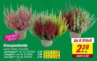 toom Baumarkt Garden Girls Knospenheide Angebot
