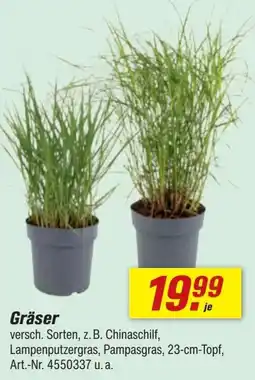toom Baumarkt Gräser Angebot