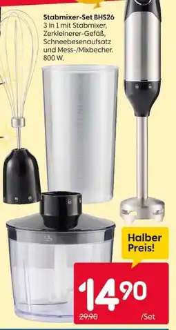 Rusta Stabmixer-Set BHS26 Angebot