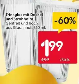 Rusta Trinkglas mit Deckel und Strohhalm Angebot