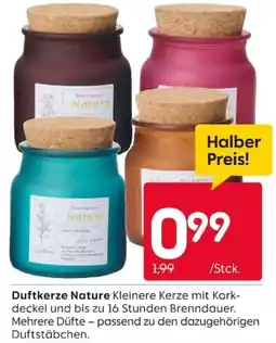 Rusta Duftkerze Nature Angebot