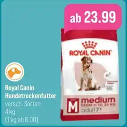 toom Baumarkt Royal Canin Hundetrockenfutter Angebot