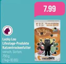toom Baumarkt Lucky Lou Katzentrockenfutter Angebot