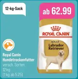 toom Baumarkt Royal Canin Hundetrockenfutter Angebot