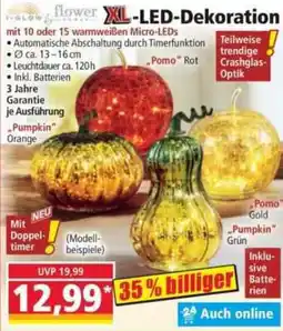 Norma XL-LED-Dekoration Angebot