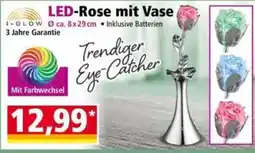Norma LED-Rose mit Vase Angebot