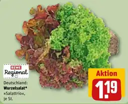 Sonderpreis Baumarkt REWE Regional Wurzelsalat* »Salattrio« Angebot