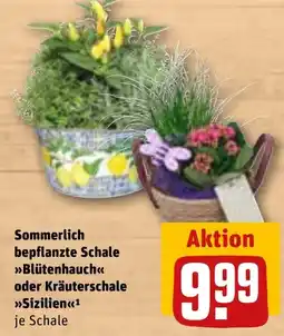 Sonderpreis Baumarkt Sommerlich bepflanzte Schale »Blütenhauch« oder Kräuterschale »Sizilien« Angebot