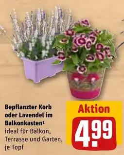Sonderpreis Baumarkt Bepflanzter Korb oder Lavendel im Balkonkasten Angebot