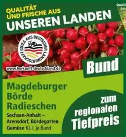 Norma Magdeburger Börde Radieschen Angebot
