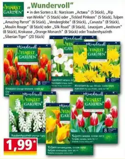 Norma Wundervoll FINEST GARDEN Angebot