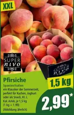 Norma SUPER nivo Pfirsiche Angebot