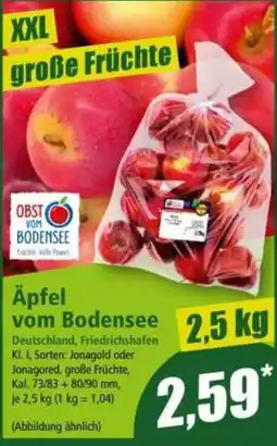 Norma Äpfel vom Bodensee Angebot
