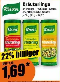Norma Knorr Kräuterlinge Angebot