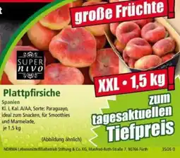 Norma Plattpfirsiche SUPER nivo Angebot